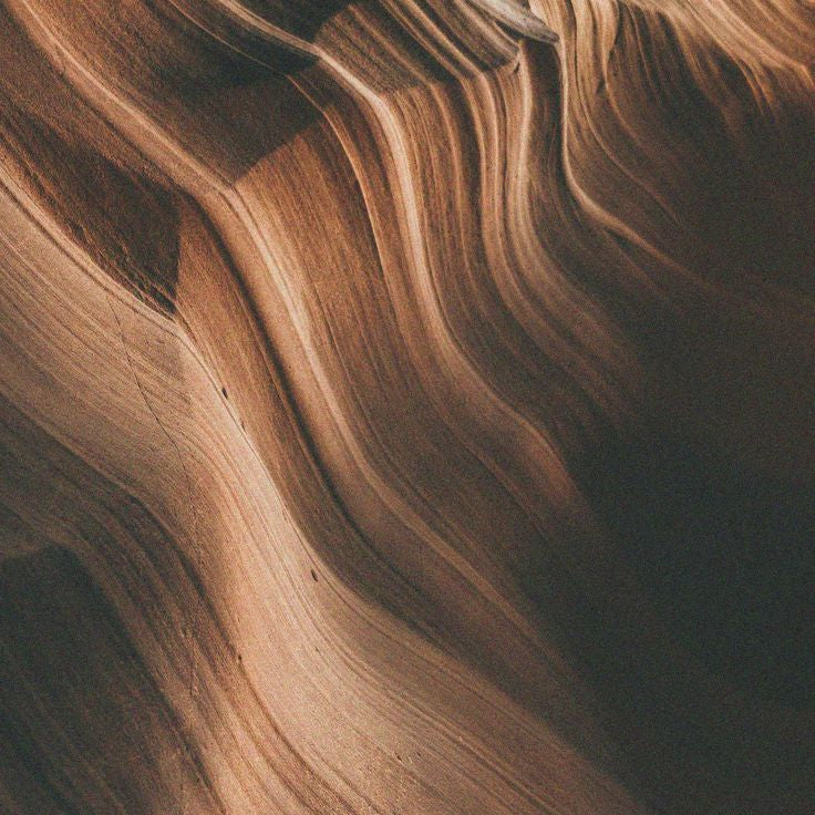 Close-up of wooden texture with grain patterns